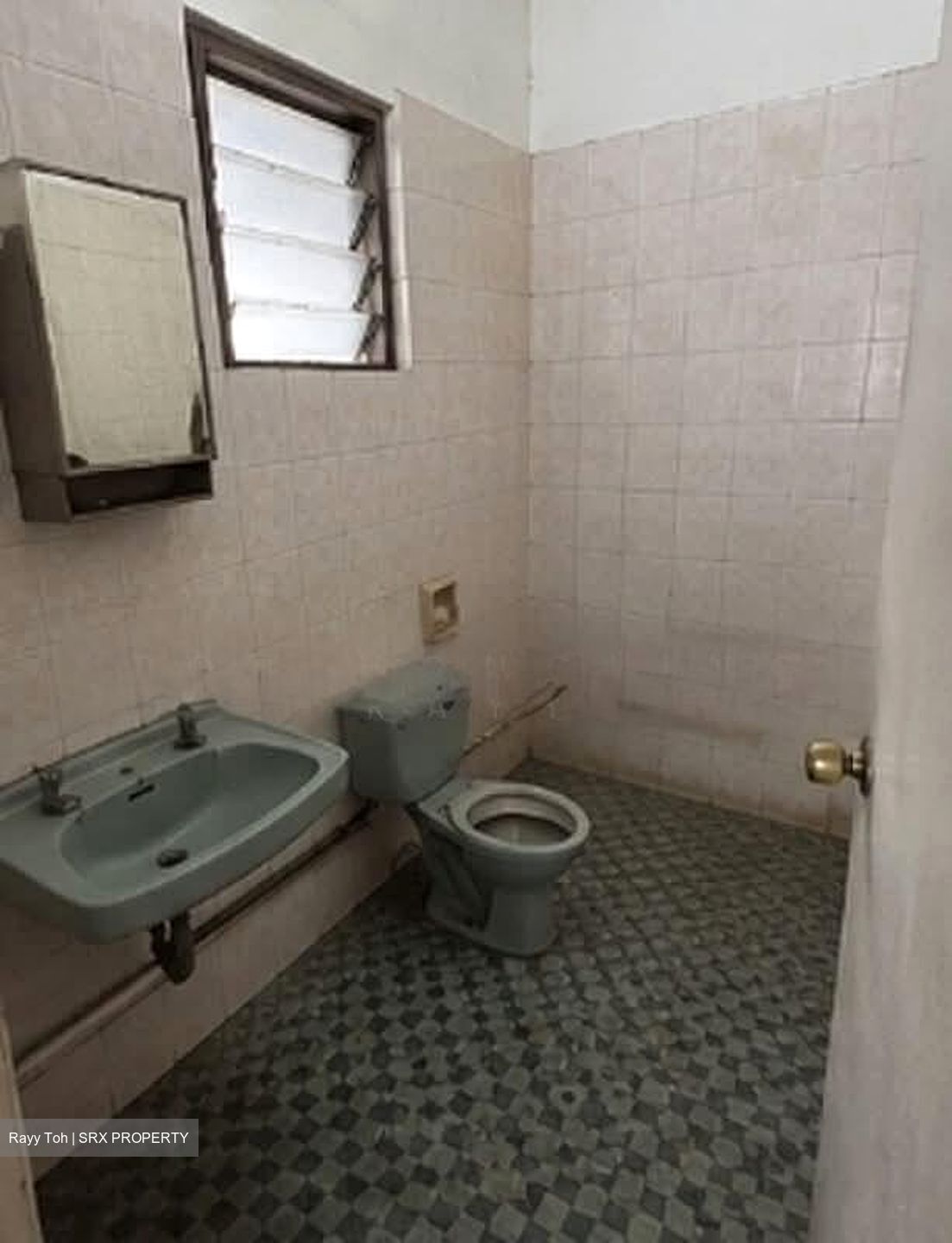 Serangoon Garden Estate (D19), Semi-Detached #582043021